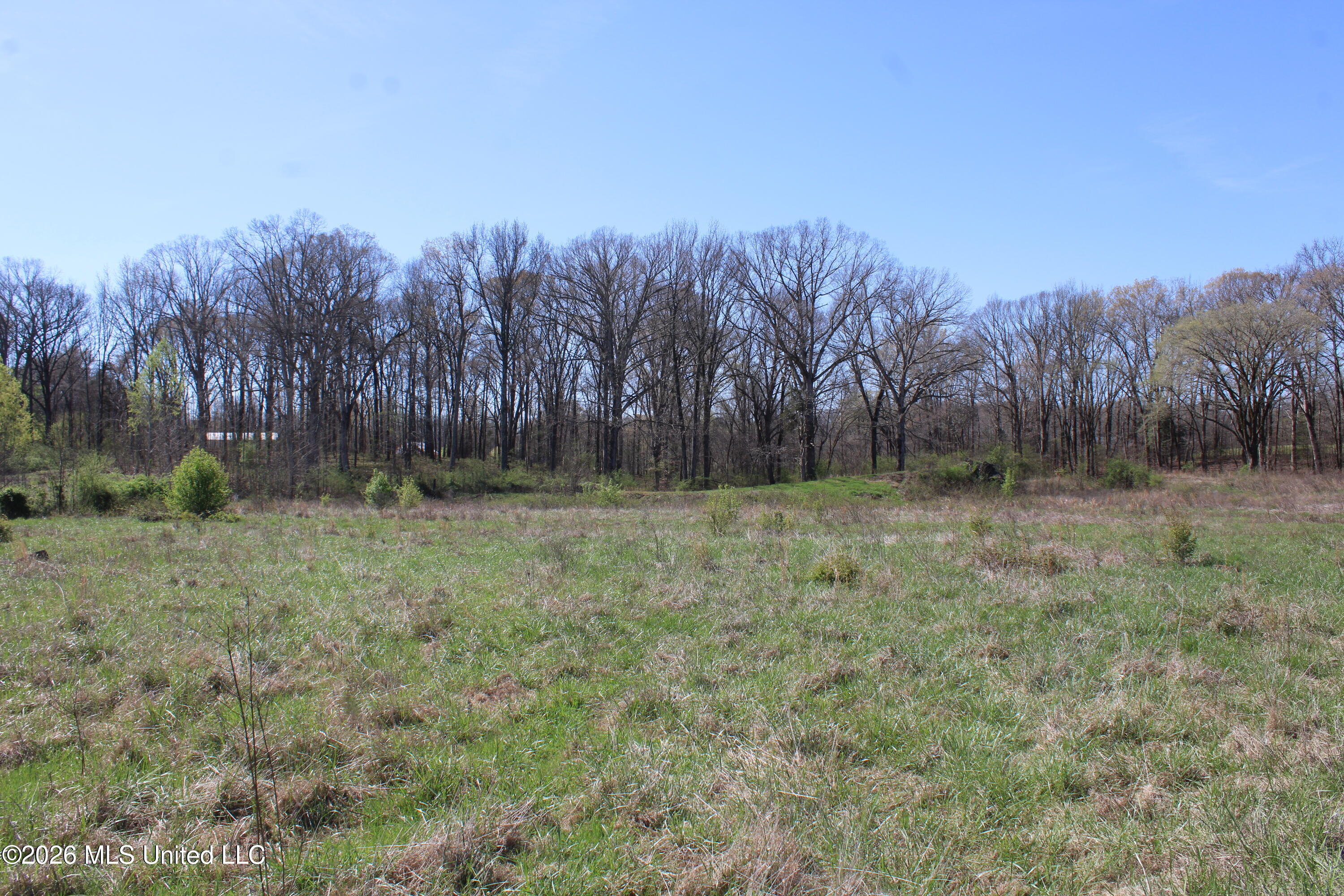 11 Barton Desoto Road Olive Branch, MS 38654 - Photo 10 of 11 IMG_7536