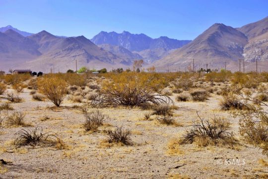 Brown Road Inyokern, CA 93527 - Photo 6 of 10