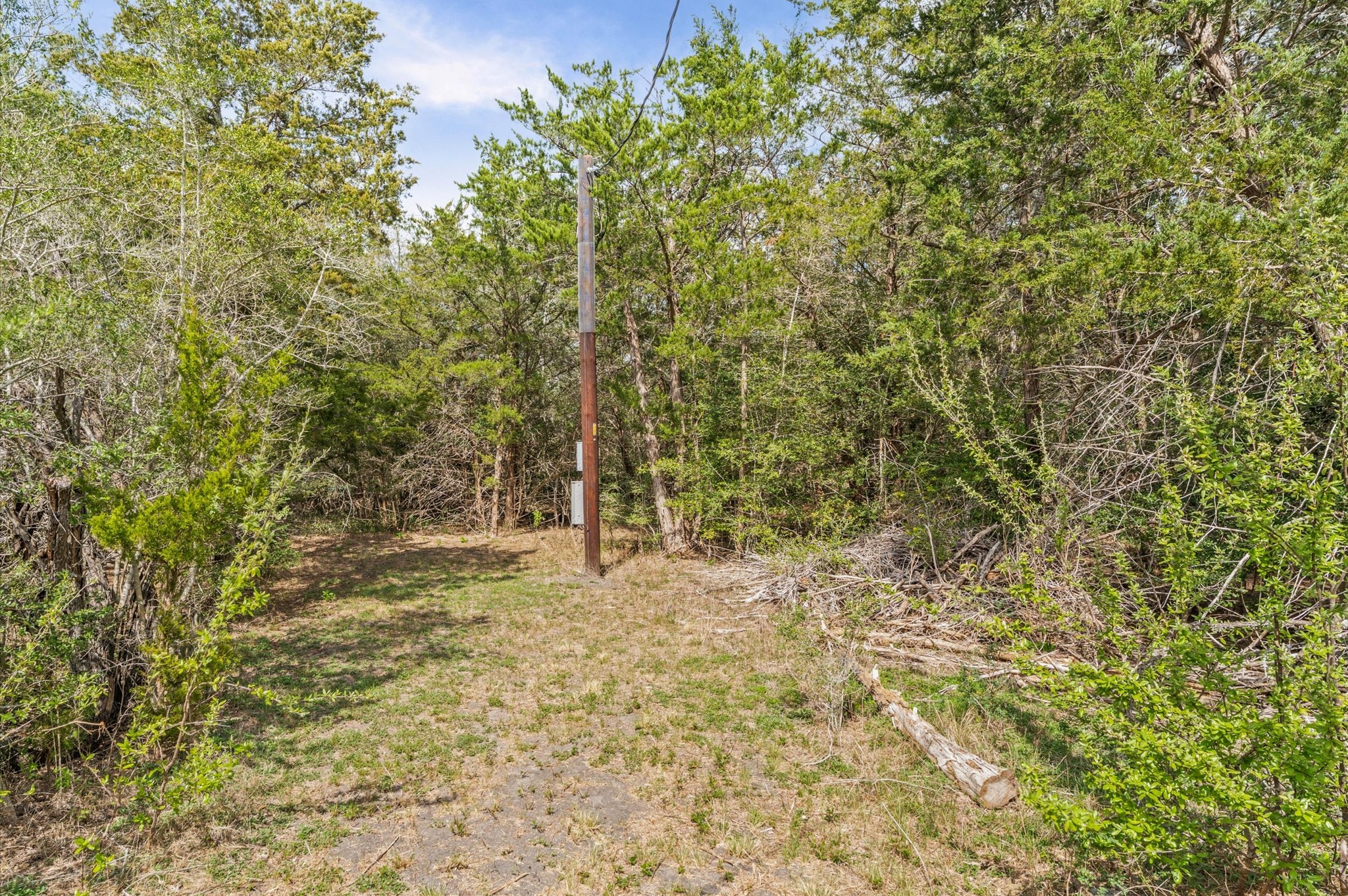 1221 Abel Road New Ulm, TX 78950 - Photo 9 of 15 Wooded area with dense greenery and a utility pole, providing a natural and setting. Ideal for buyers seeking privacy and a connection with nature.