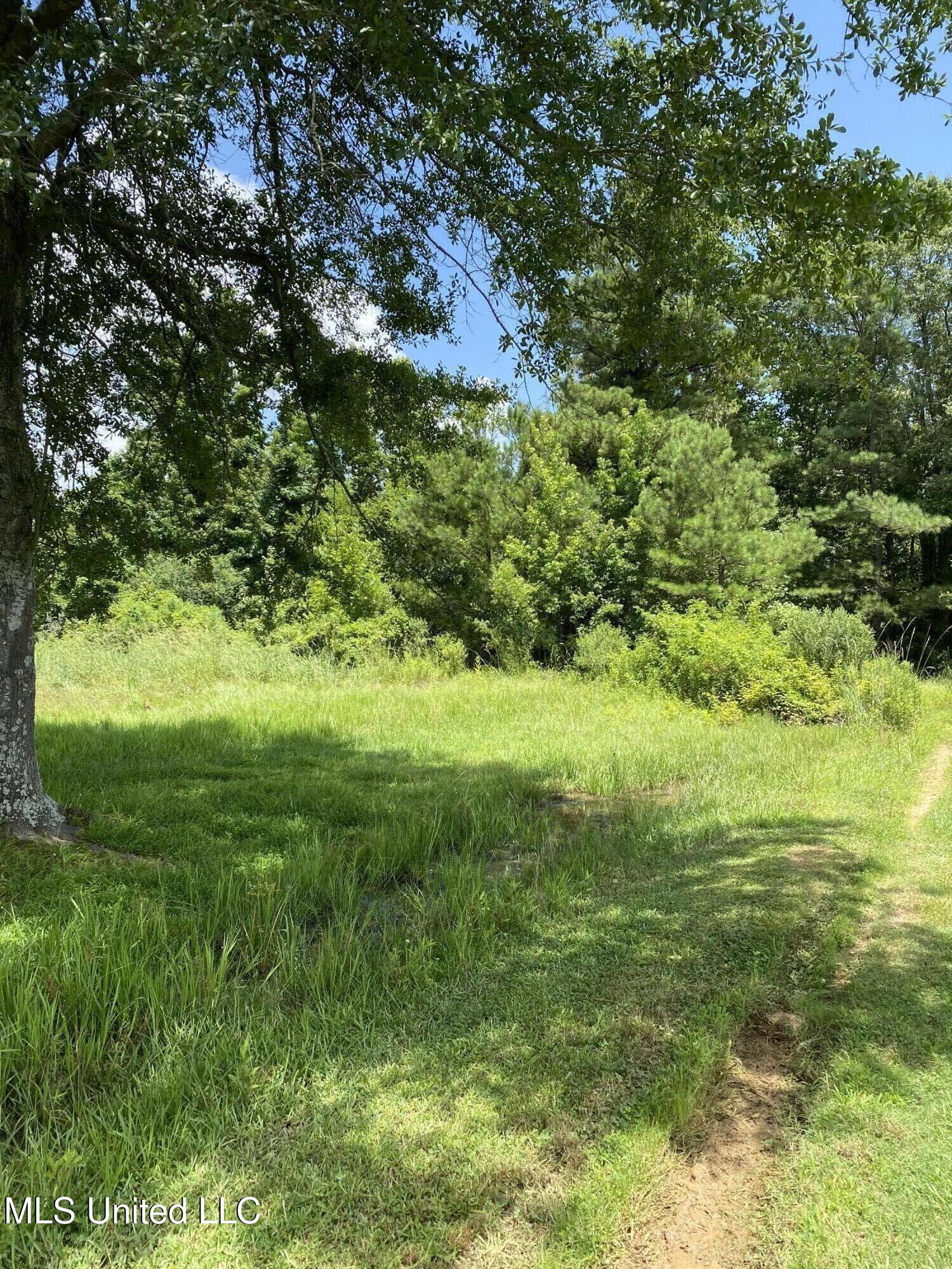 0 Way Road Canton, MS 39046 - Photo 2 of 2 IMG_7674 Davis Rd