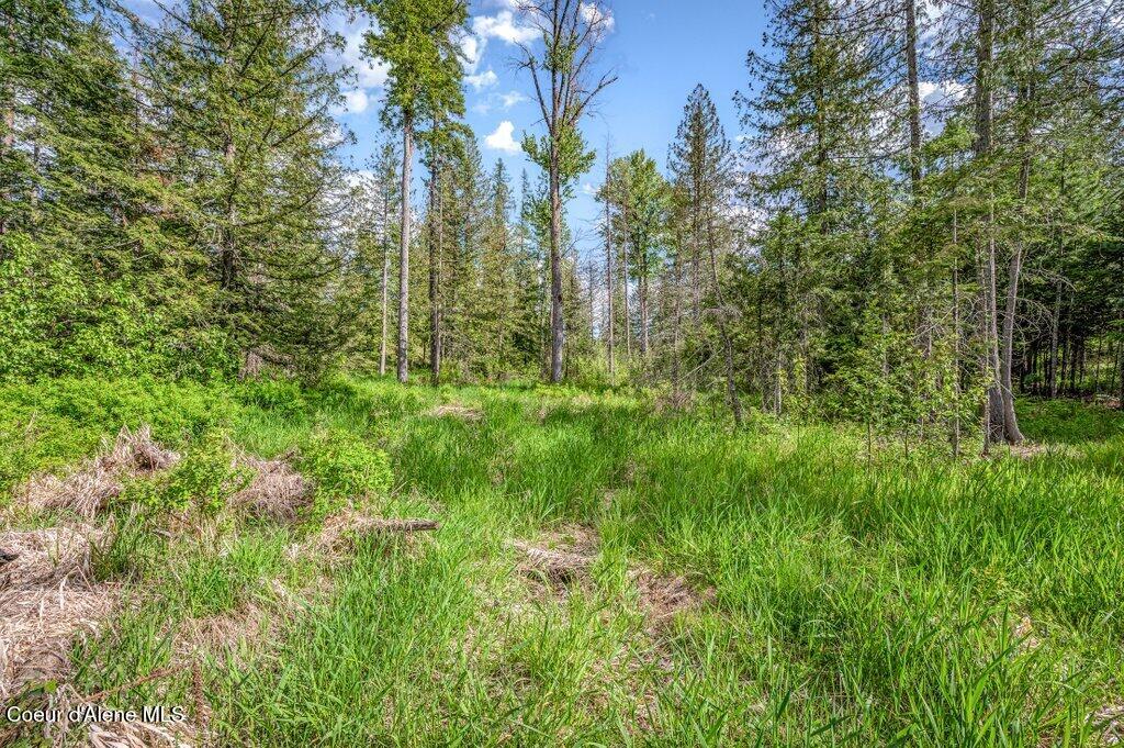 Oleander Drive Sandpoint, ID 83864 - Photo 6 of 22 10_Oleander Drive
