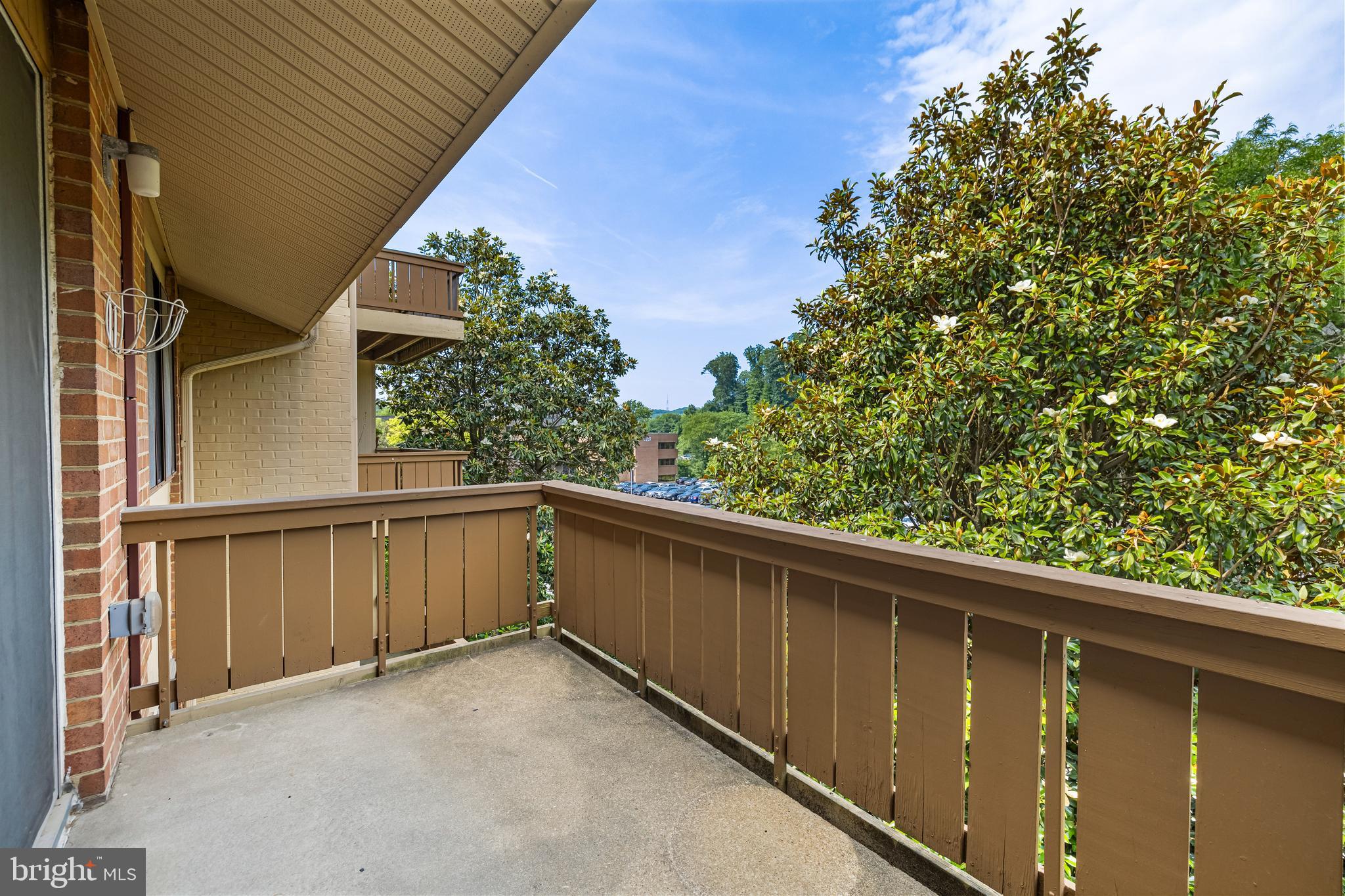 19 Hamill Road, Unit 19E Baltimore, MD 21210 - Photo 14 of 33 Balcony overlooking magnolia tree