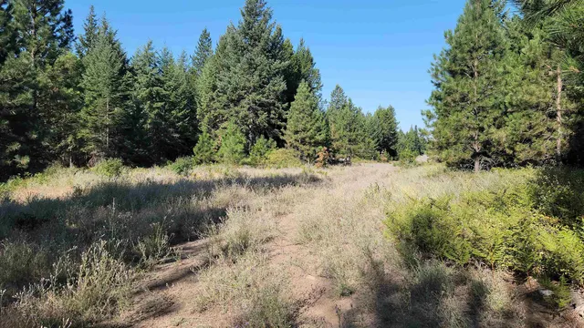 $75,000 | 642 Overlook Drive, Newport, WA 99156