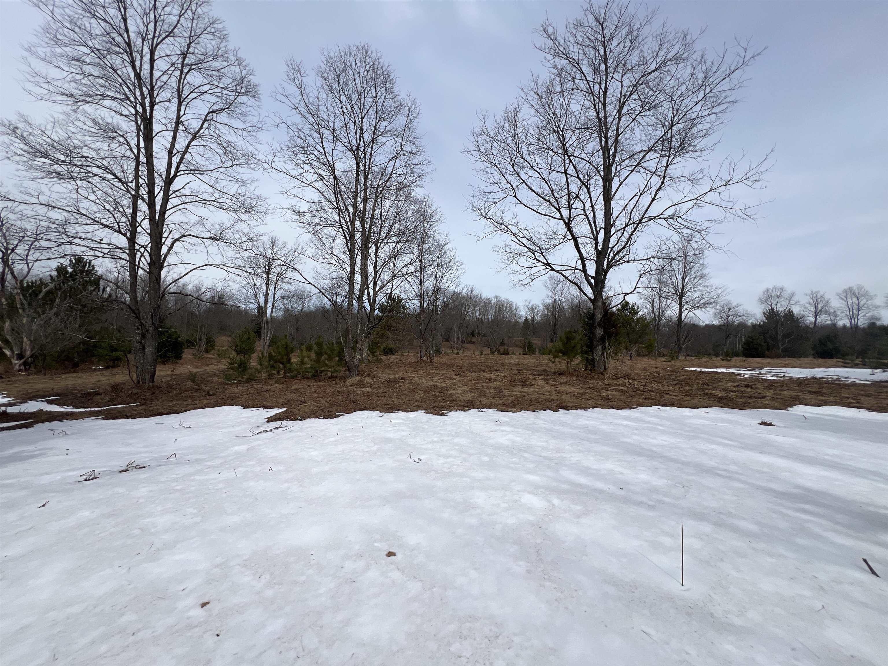 3716 Luce Road South Boardman, MI 49680 - Photo 8 of 9