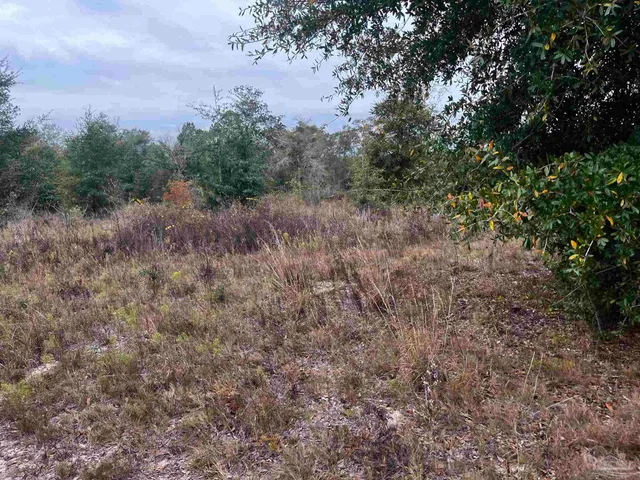 a view of a city with lots of bushes
