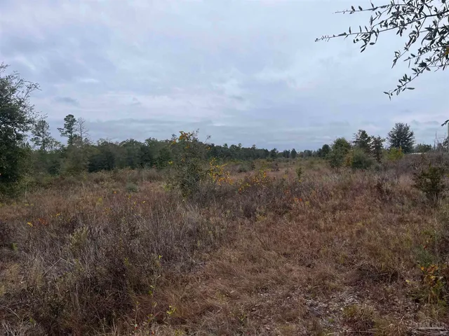 a view of a backyard of a house with a mountain