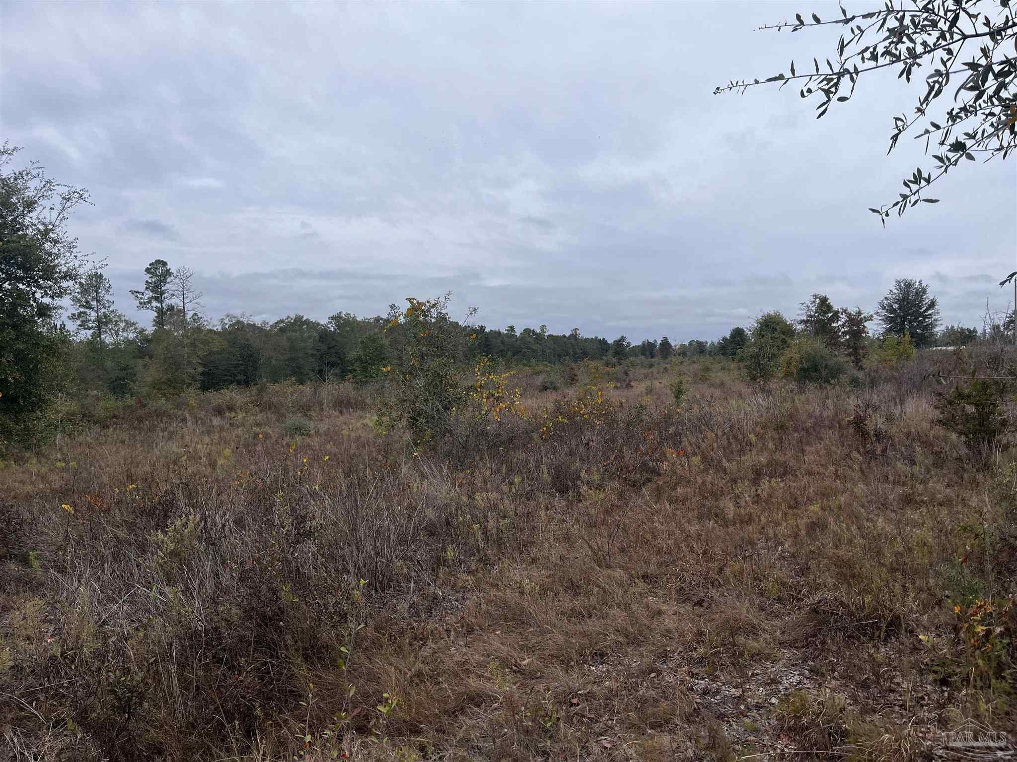 0 Tanner Ridge Road Milton, FL 32570 - Photo 12 of 18 a view of a city with lots of bushes