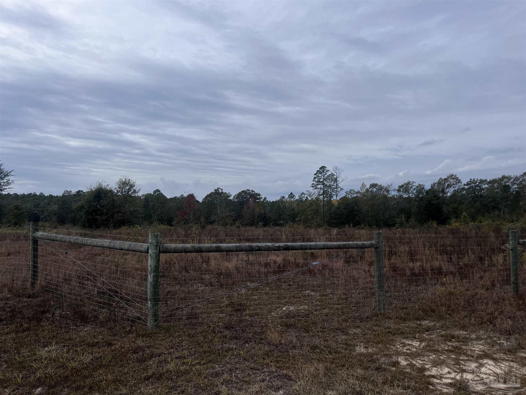 0 Tanner Ridge Road Milton, FL 32570 - Photo 15 of 18 a view of a lake view with a forest