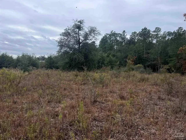 a view of a field with trees in background
