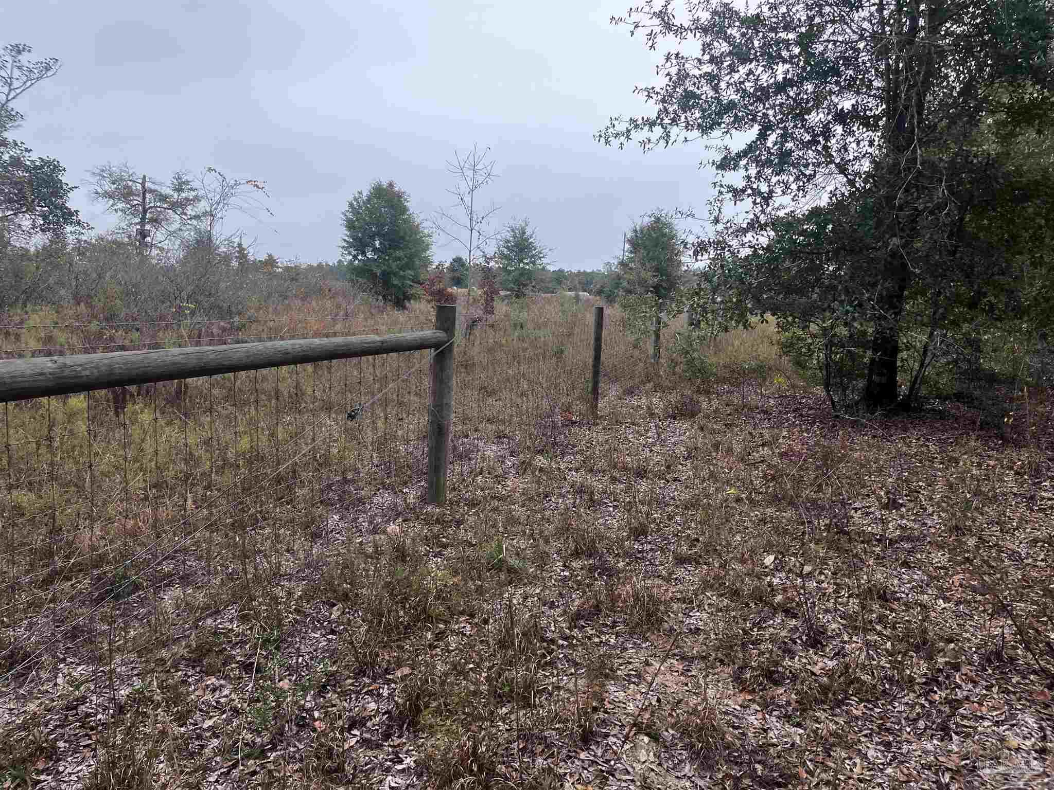 0 Tanner Ridge Road Milton, FL 32570 - Photo 7 of 18 a view of a yard with a mountain in the background
