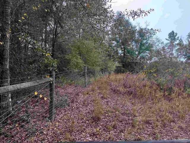 a view of lake with green space