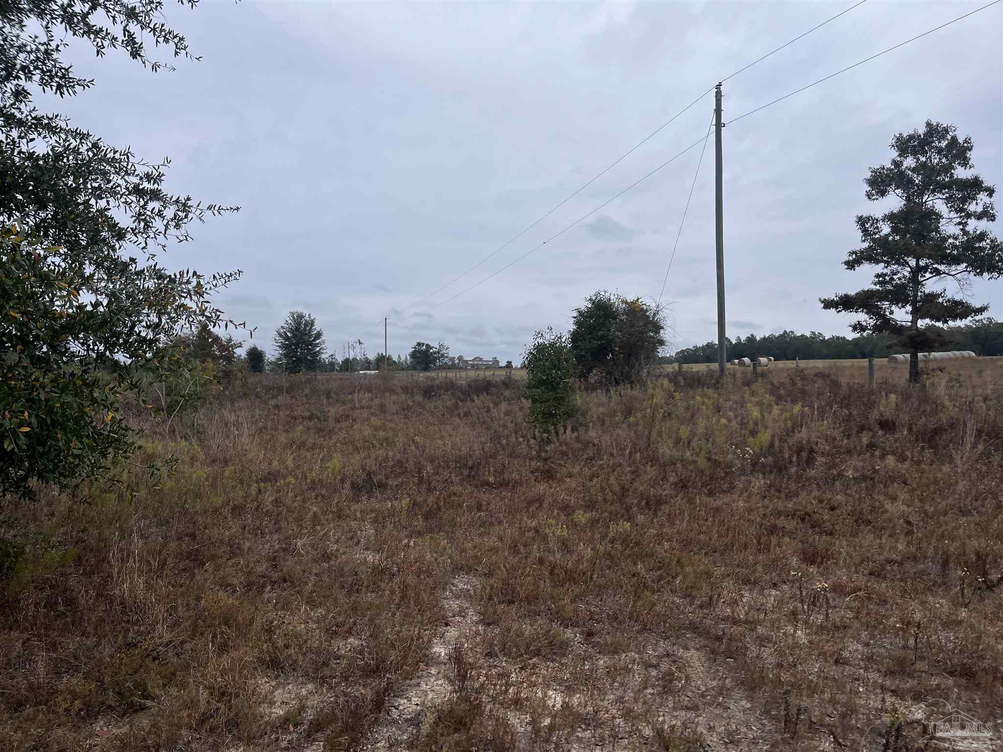 0 Tanner Ridge Road Milton, FL 32570 - Photo 10 of 18 a view of a dry yard with trees
