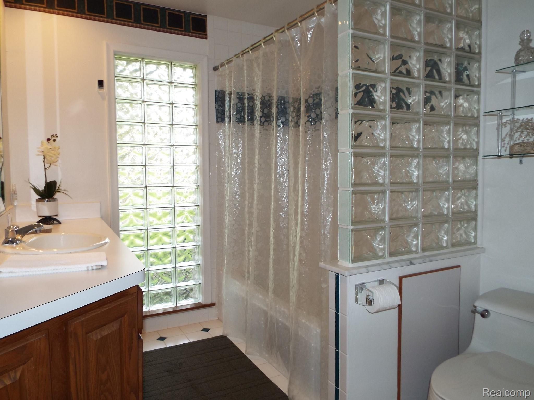 6030 North Beck Road Canton, MI 48187 - Photo 24 of 42 main bath with glass block.JPG