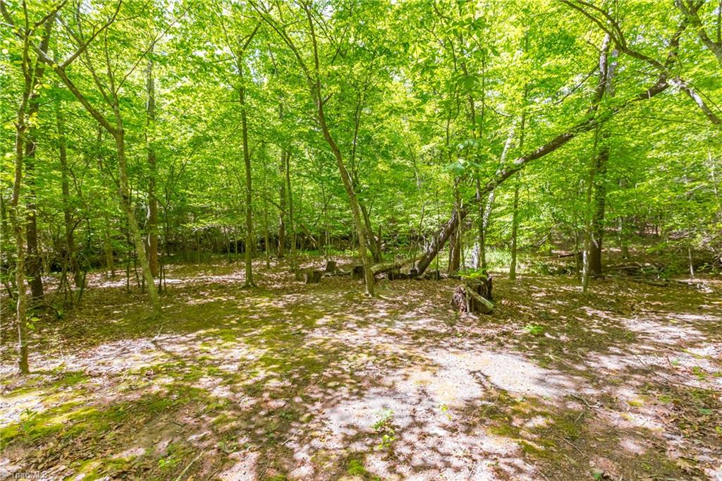 1178 Sunset Ridge Road Mount Airy, NC 27030 - Photo 32 of 36