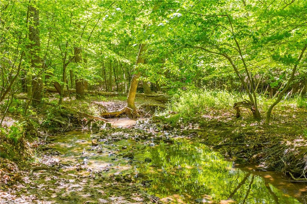 1178 Sunset Ridge Road Mount Airy, NC 27030 - Photo 35 of 36
