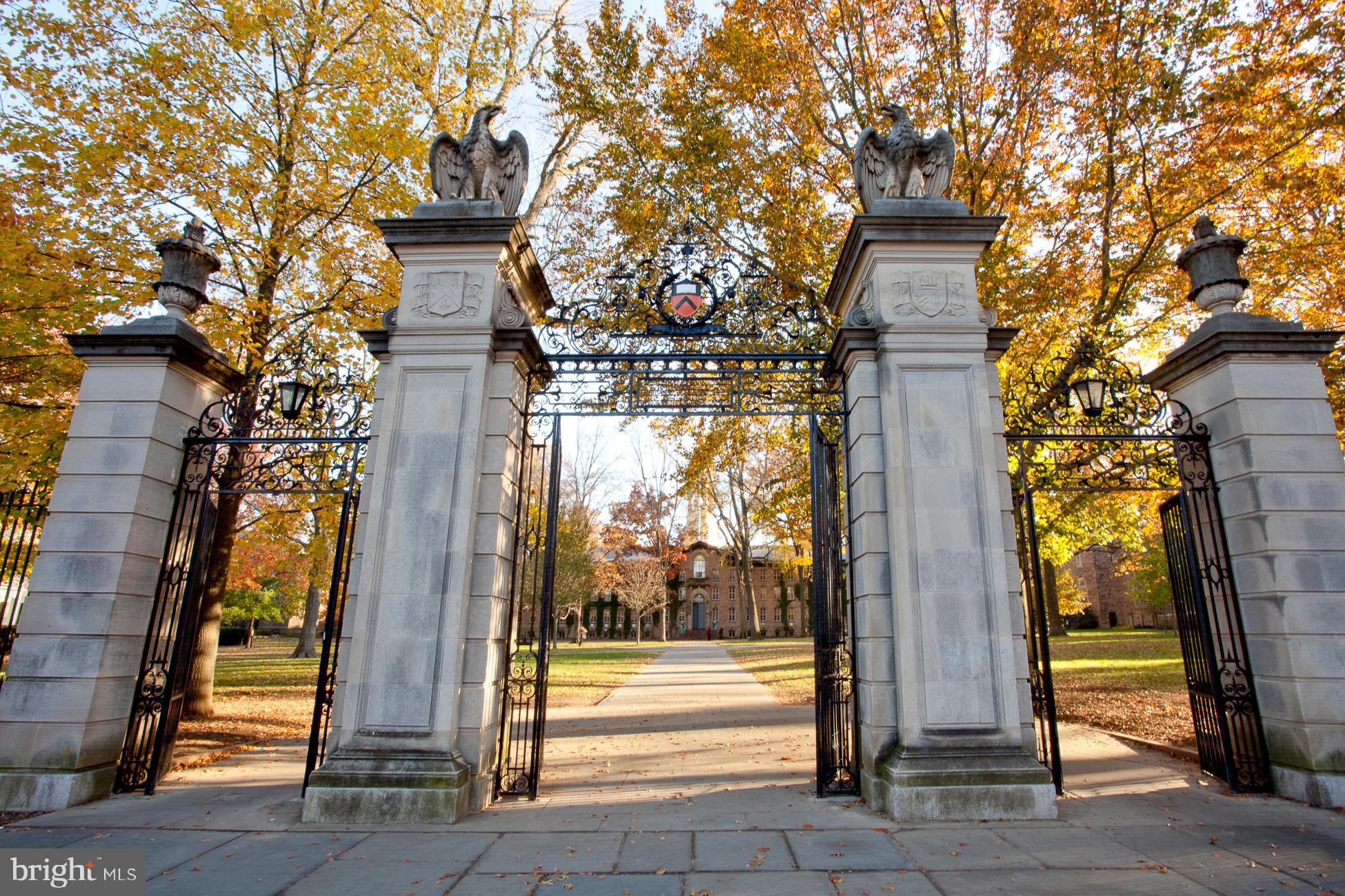 45 Spring Street, Unit 5 Princeton, NJ 08542 - Photo 15 of 17 a multi story building with a tree