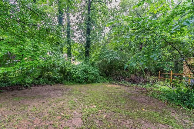 a view of a forest with trees in the background