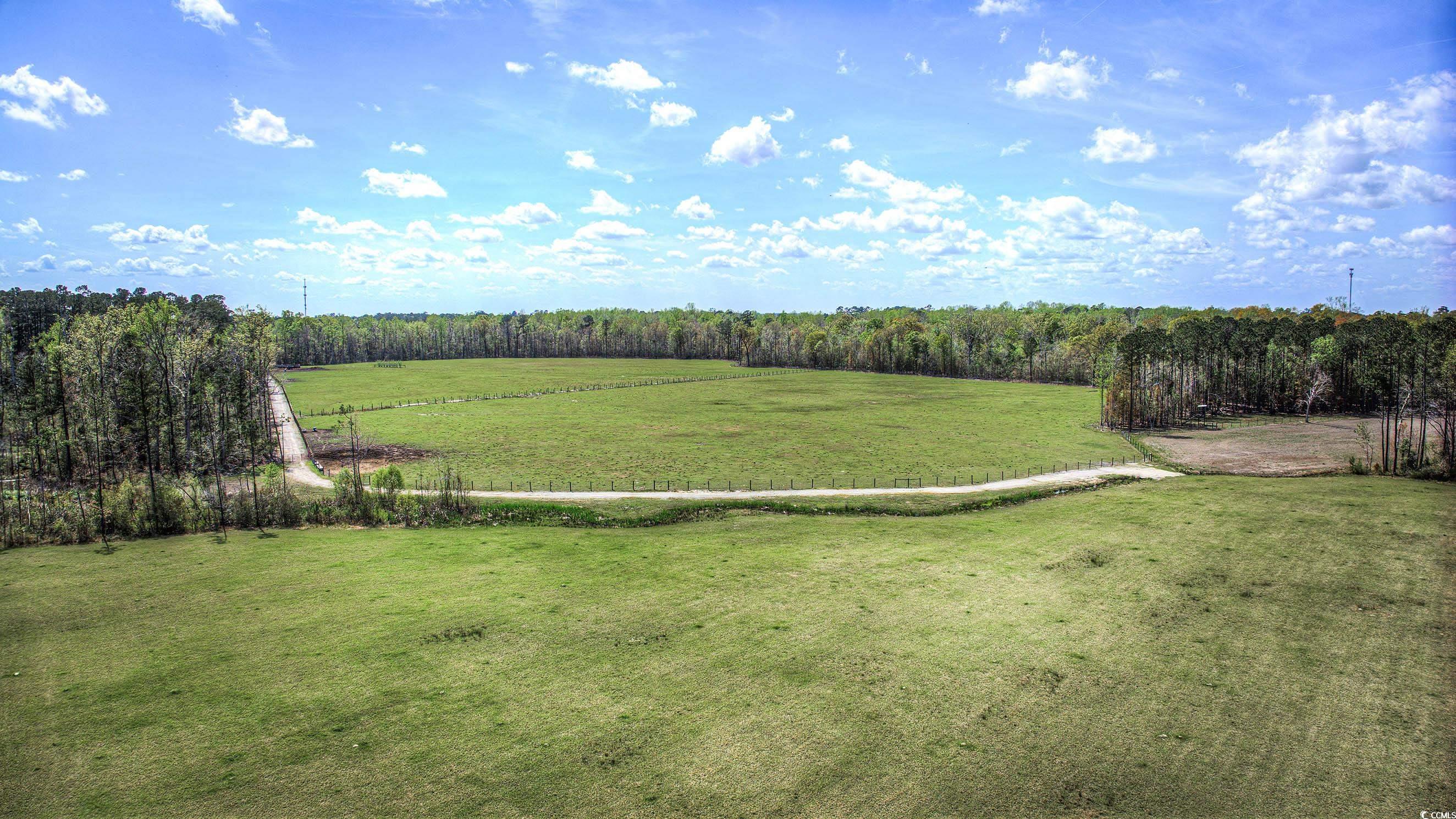 Tbd Tbd Roleighn Road Conway, SC 29526 - Photo 11 of 14