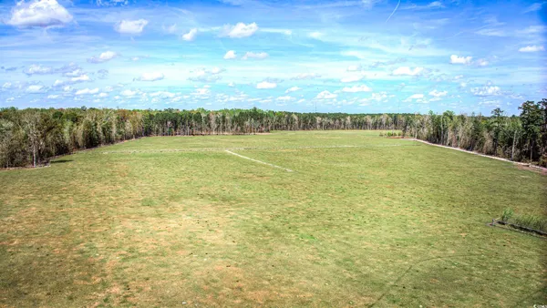 $1,125,000 | Tbd Tbd Roleighn Road, Conway, SC 29526