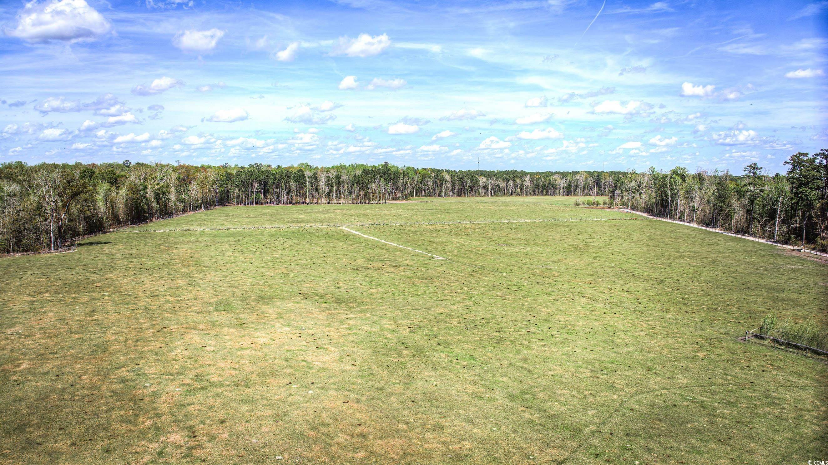 Tbd Tbd Roleighn Road Conway, SC 29526 - Photo 12 of 14