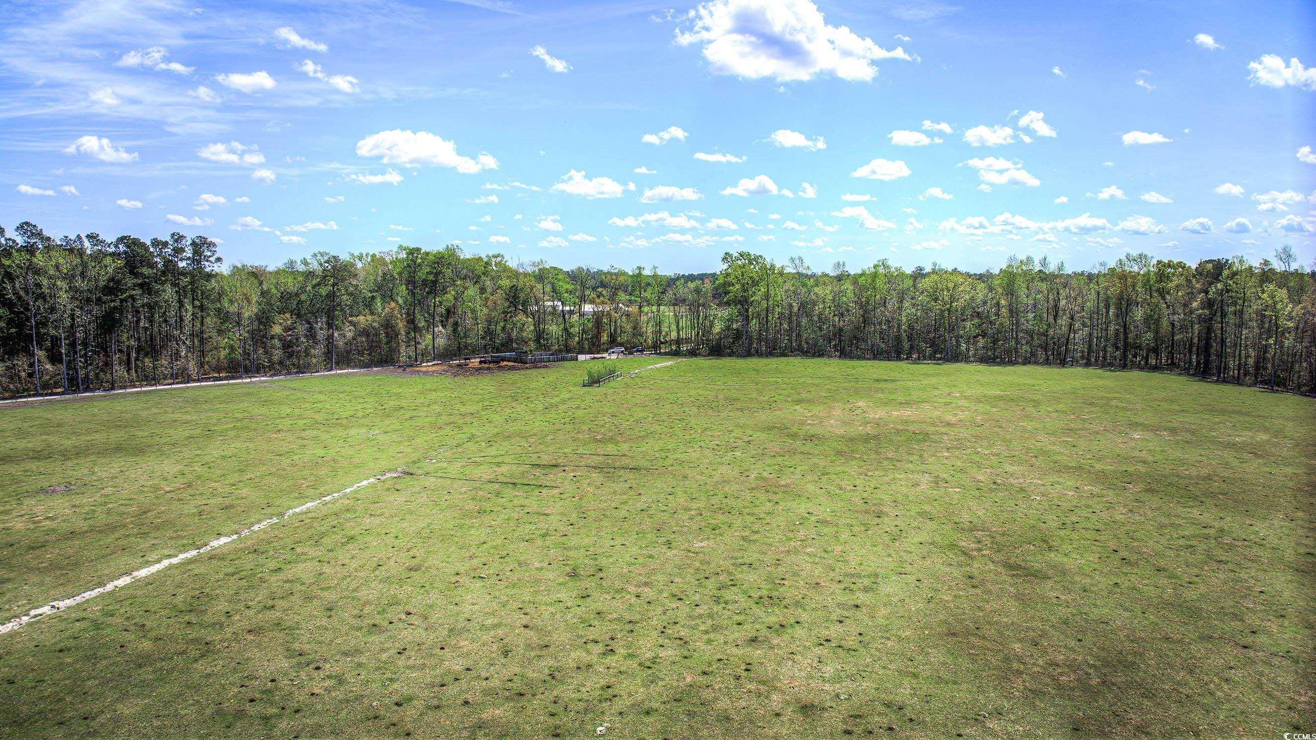 Tbd Tbd Roleighn Road Conway, SC 29526 - Photo 13 of 14