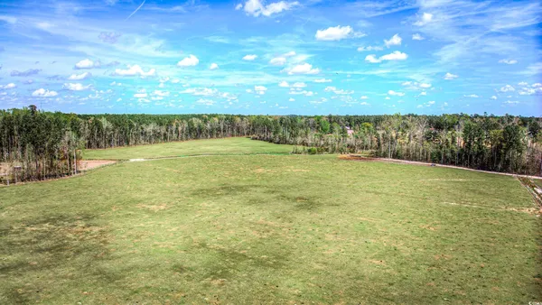 $1,125,000 | Tbd Tbd Roleighn Road, Conway, SC 29526