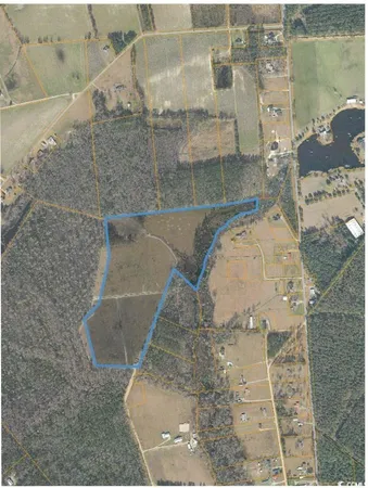 $1,125,000 | Tbd Tbd Roleighn Road, Conway, SC 29526