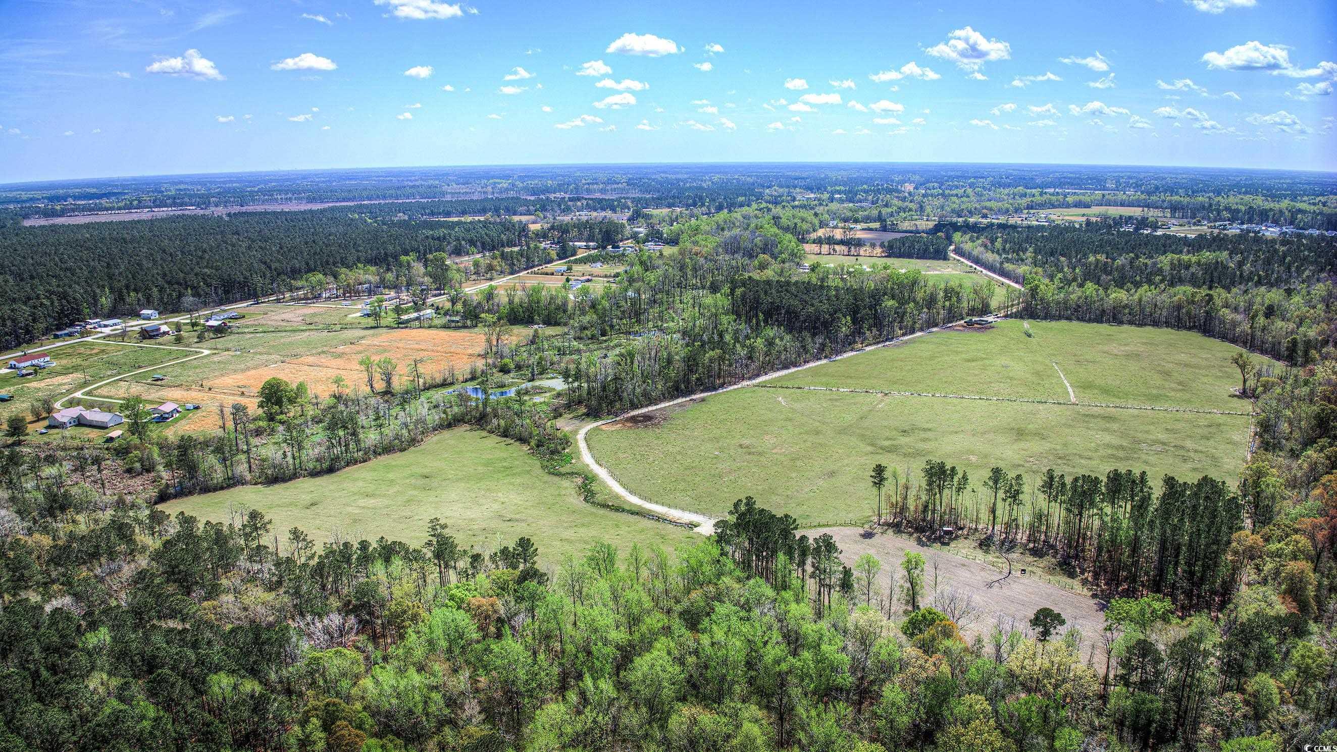 Tbd Tbd Roleighn Road Conway, SC 29526 - Photo 3 of 14