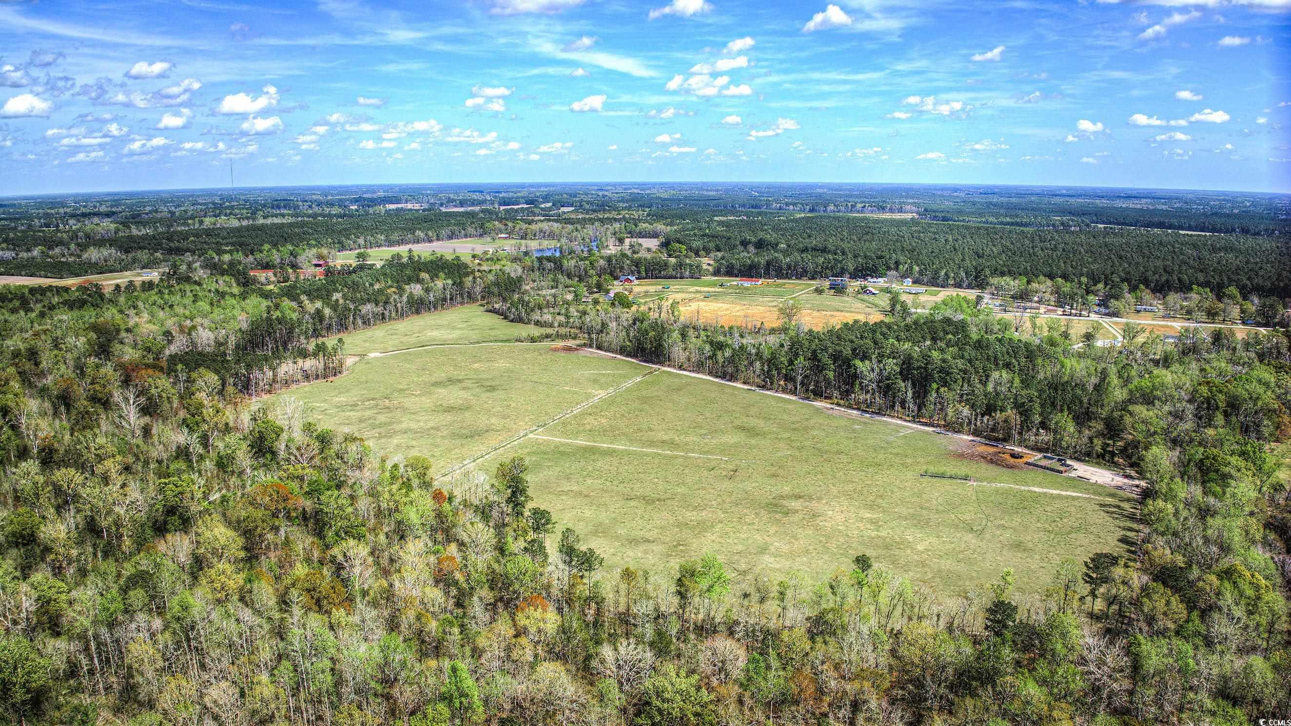 Tbd Tbd Roleighn Road Conway, SC 29526 - Photo 5 of 14