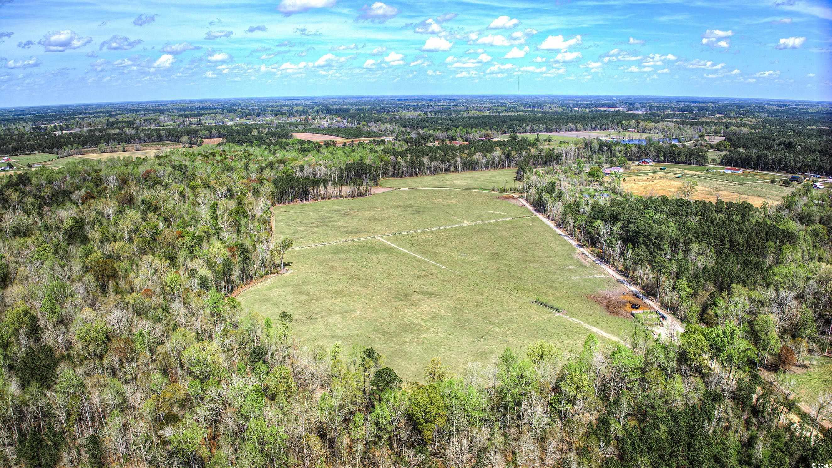 Tbd Tbd Roleighn Road Conway, SC 29526 - Photo 6 of 14