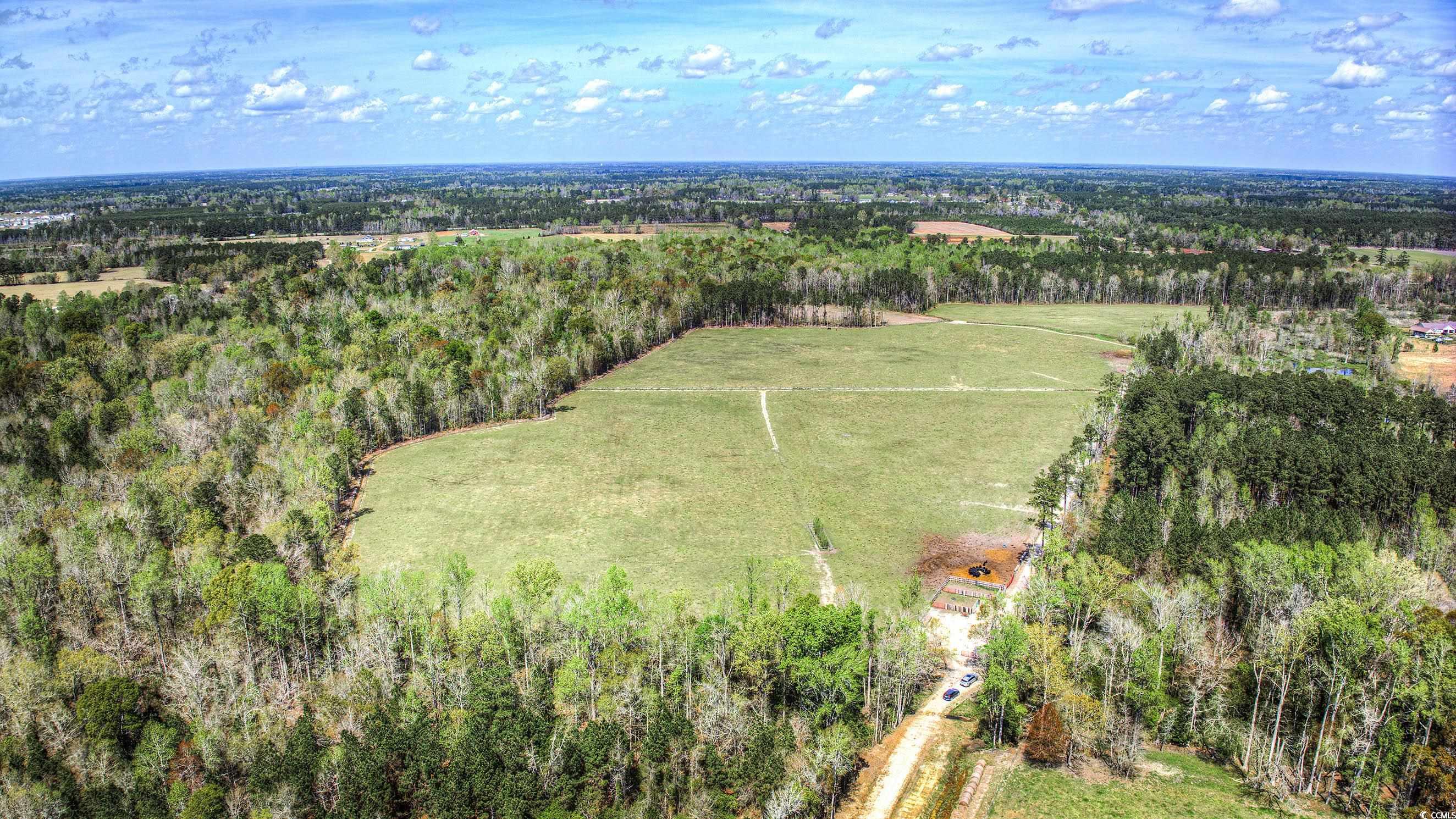 Tbd Tbd Roleighn Road Conway, SC 29526 - Photo 7 of 14