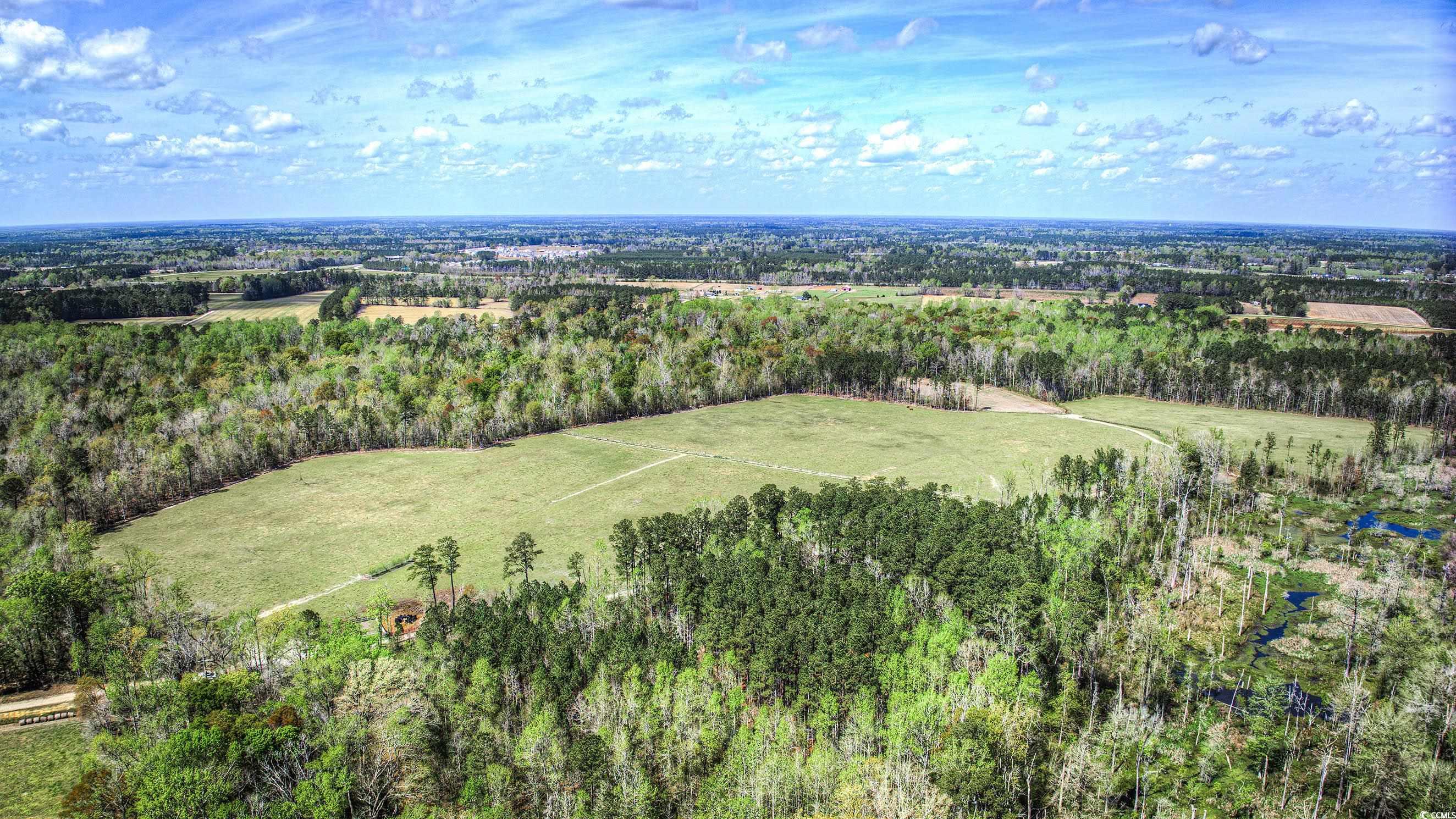 Tbd Tbd Roleighn Road Conway, SC 29526 - Photo 8 of 14