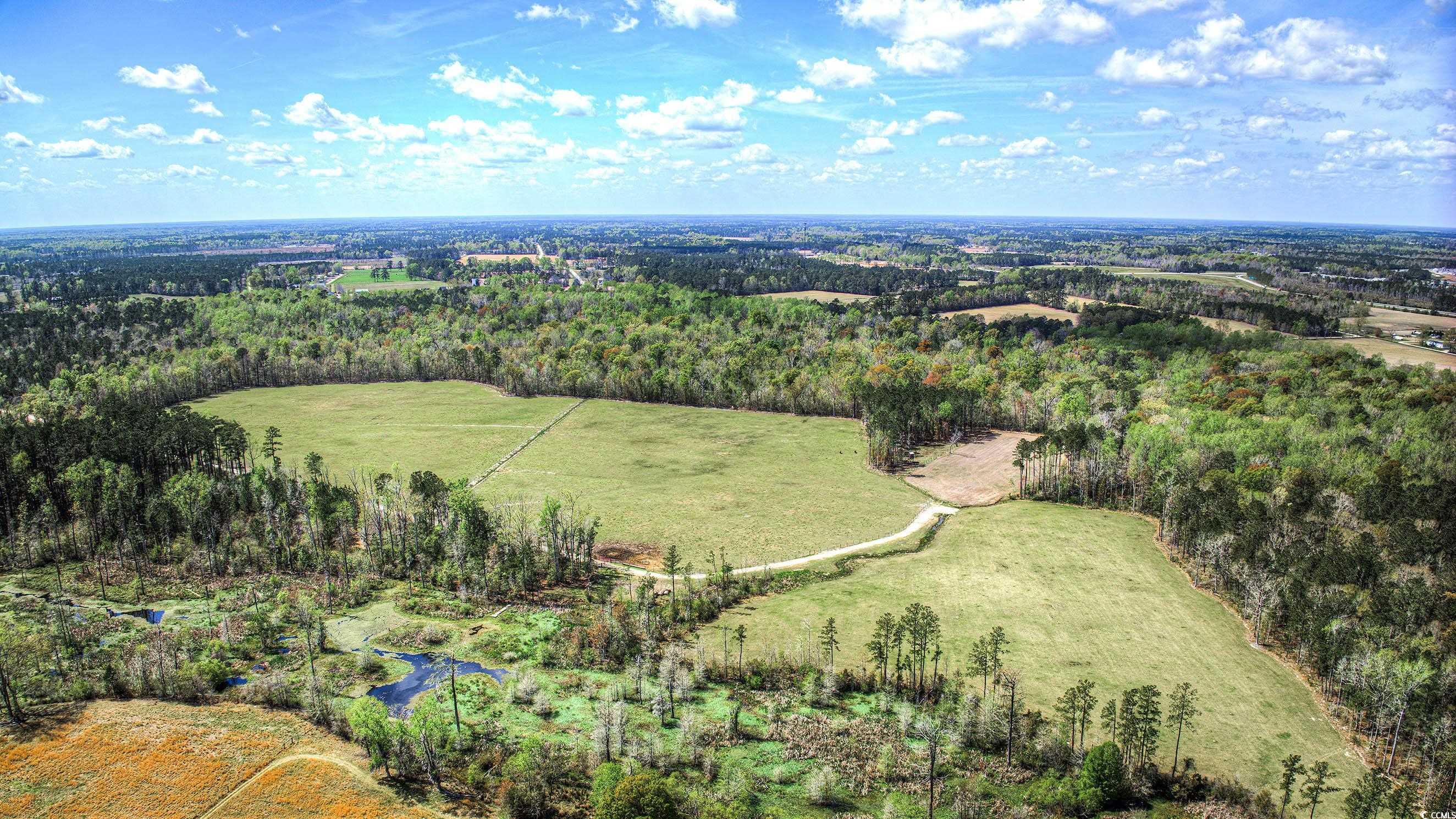 Tbd Tbd Roleighn Road Conway, SC 29526 - Photo 9 of 14