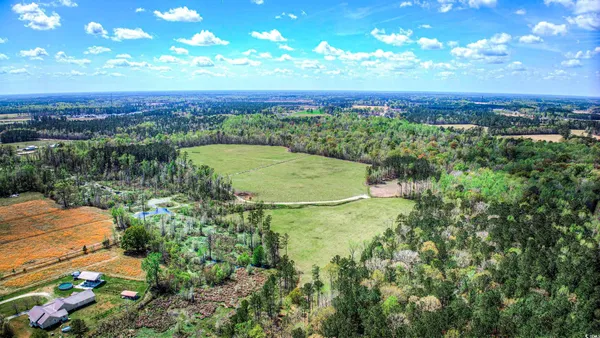 $1,125,000 | Tbd Tbd Roleighn Road, Conway, SC 29526