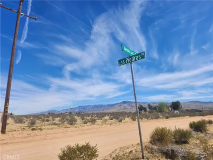 a view of a yard with a ocean view