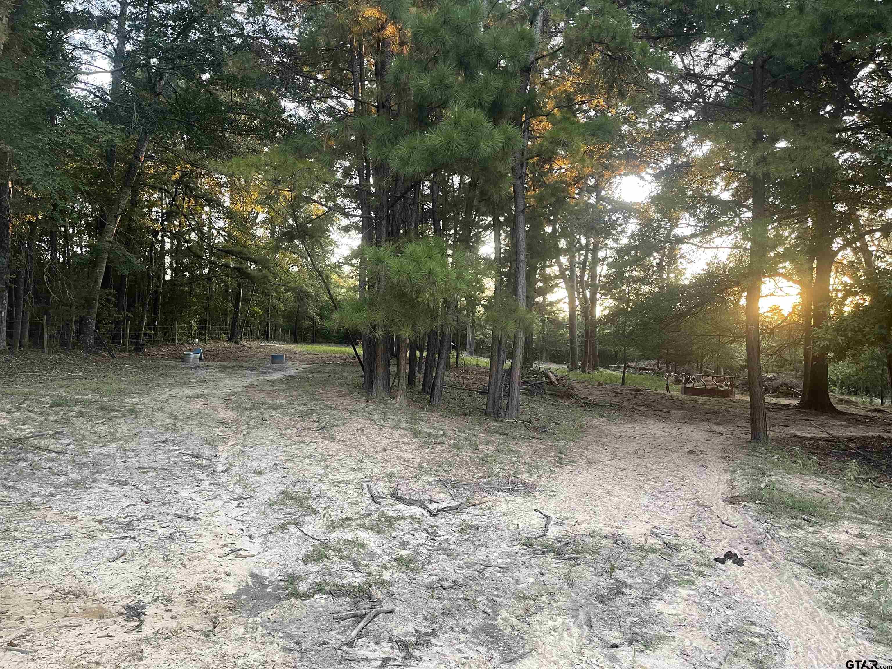 8261 County Road 381 Tyler, TX 75708 - Photo 16 of 24 a backyard of a house with lots of green space