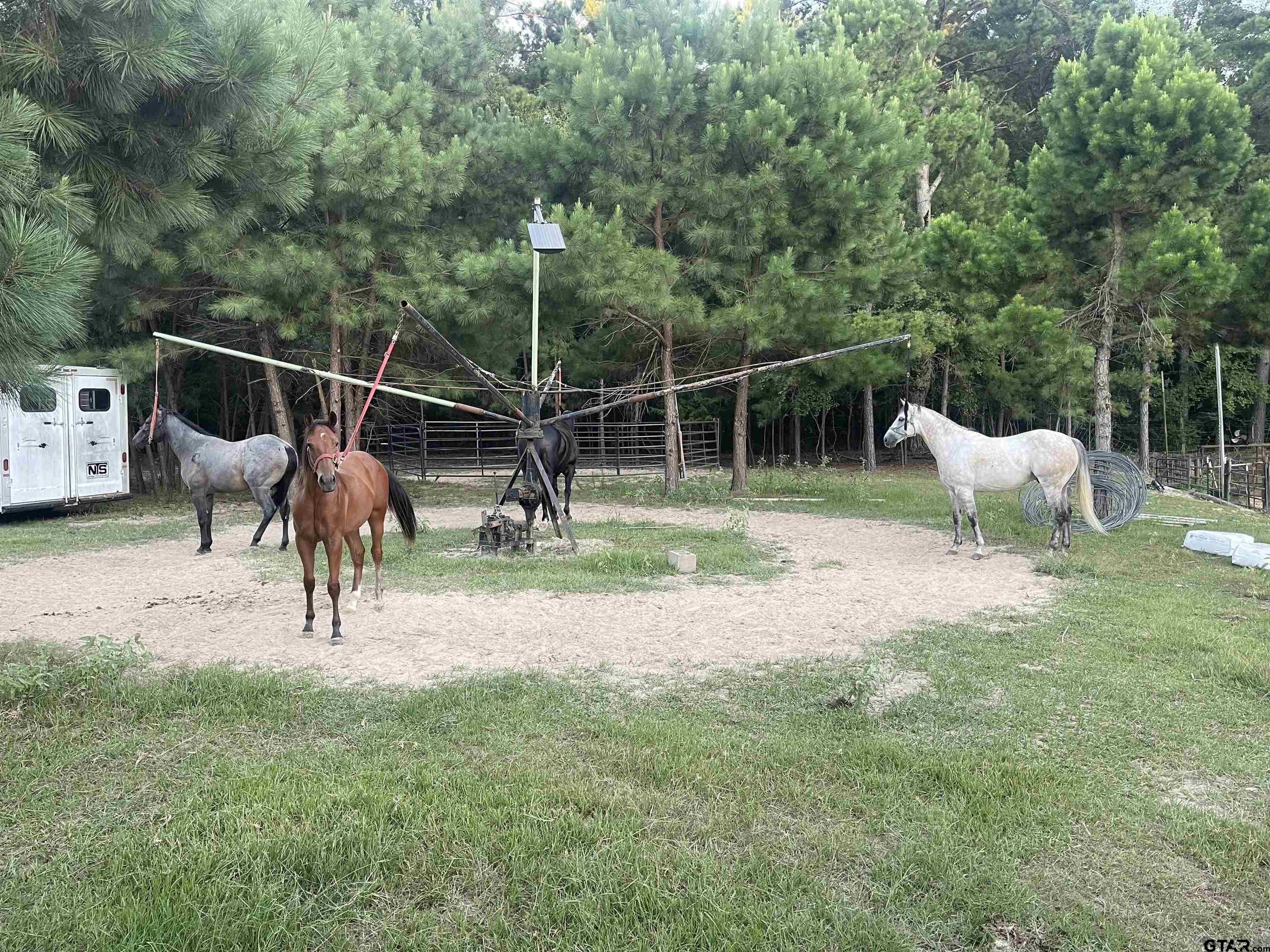 8261 County Road 381 Tyler, TX 75708 - Photo 20 of 24 a view of backyard with slide