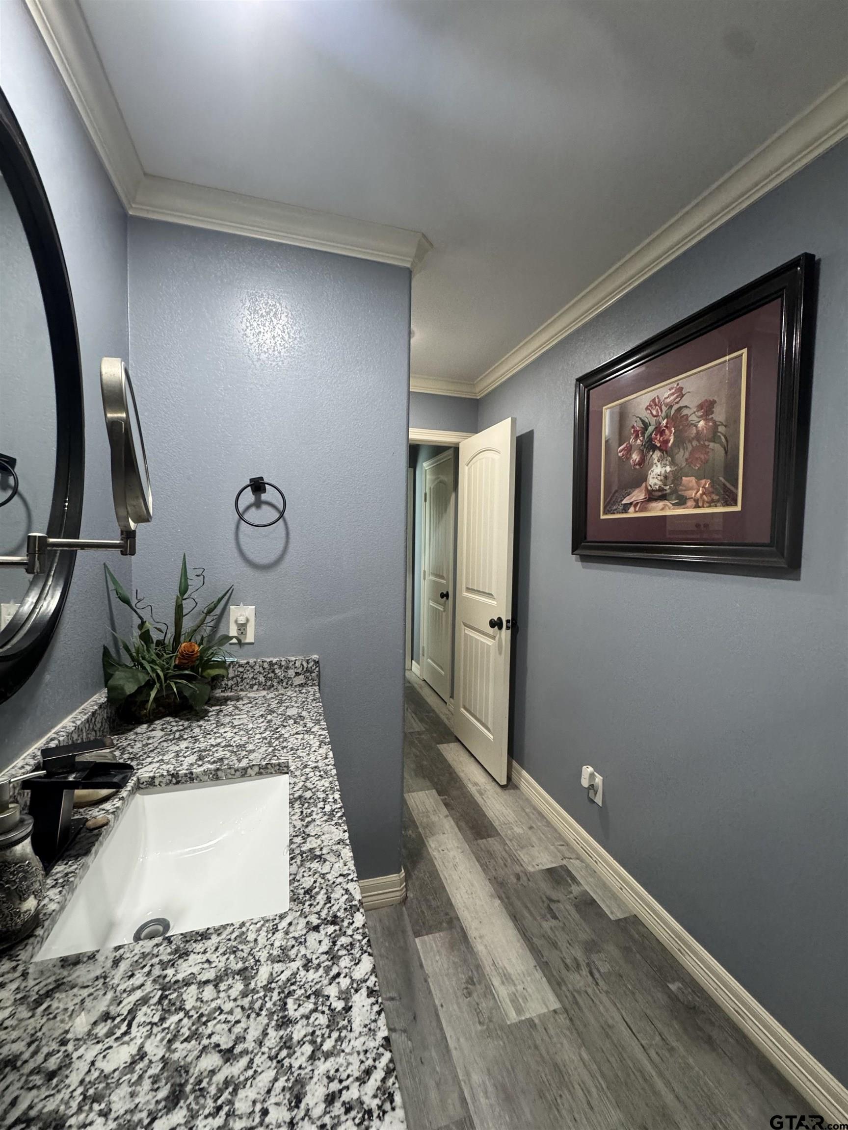 8261 County Road 381 Tyler, TX 75708 - Photo 10 of 24 a bathroom with a sink and a mirror