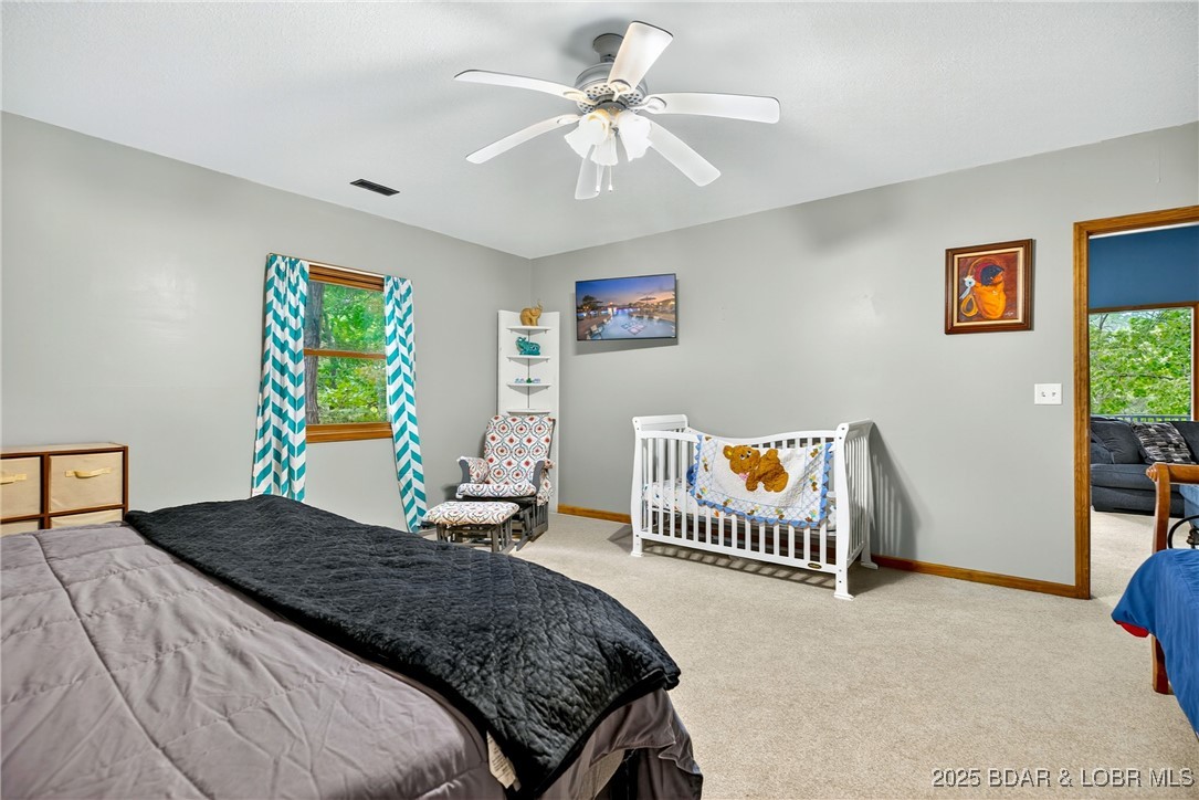 453 Graham Point Camdenton, MO 65020 - Photo 53 of 69