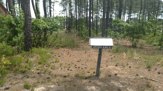 841 Steeplechase Road Aiken, SC 29803 - Photo 2 of 10