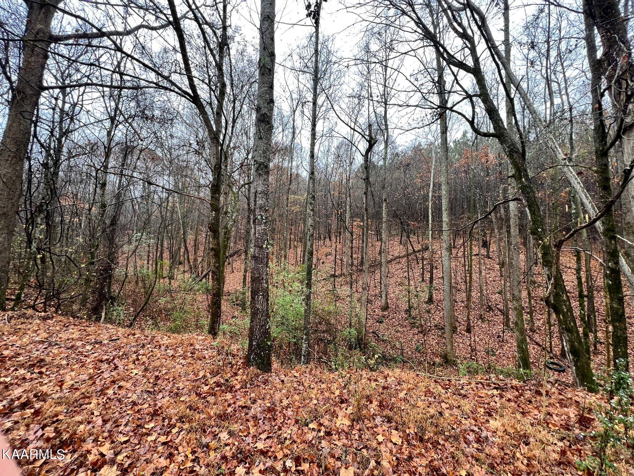 Lot 22 Sam Davis Decatur, TN 37322 - Photo 5 of 7 Sam davis Nnopone4