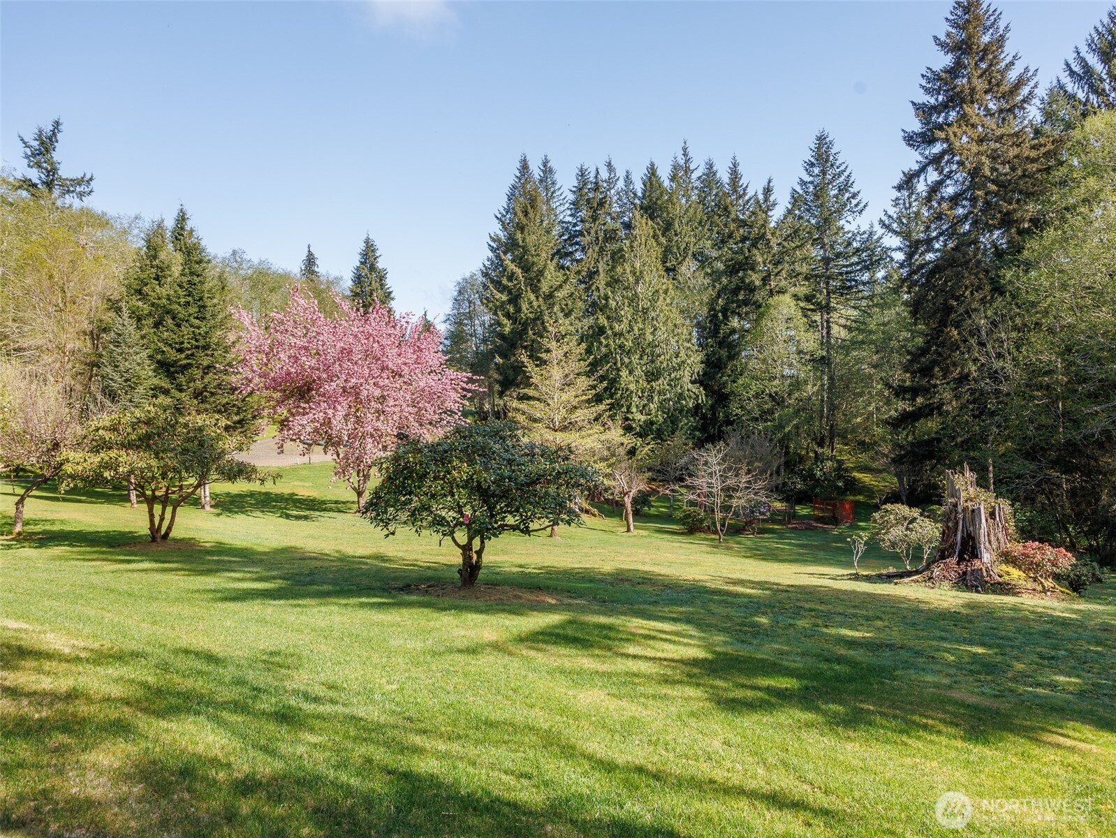 25 Carol Lane Elma, WA 98541 - Photo 29 of 40