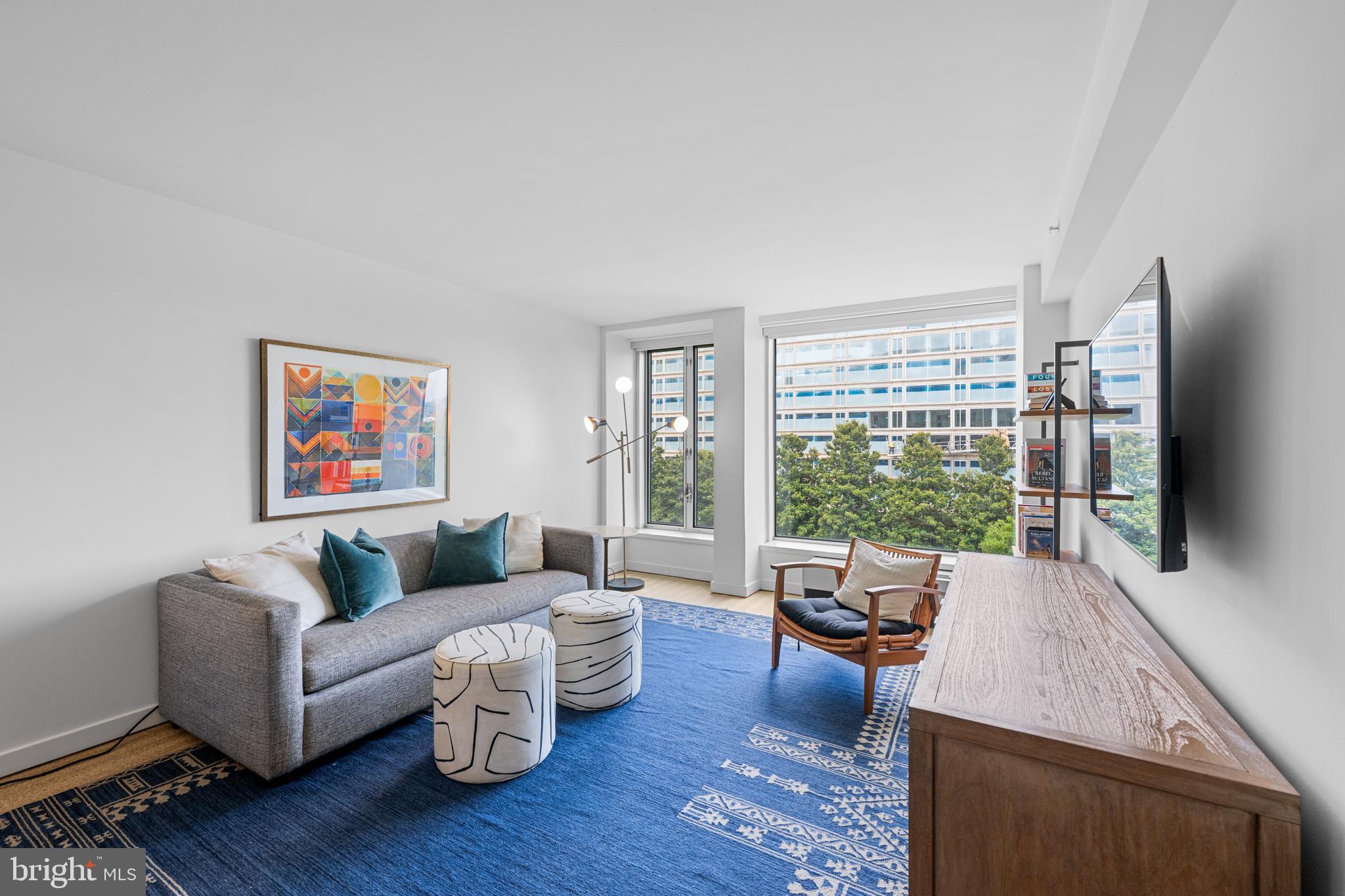 1101 3rd Street Southwest, Unit 315 Washington, DC 20024 - Photo 21 of 38 a living room with furniture and a flat screen tv