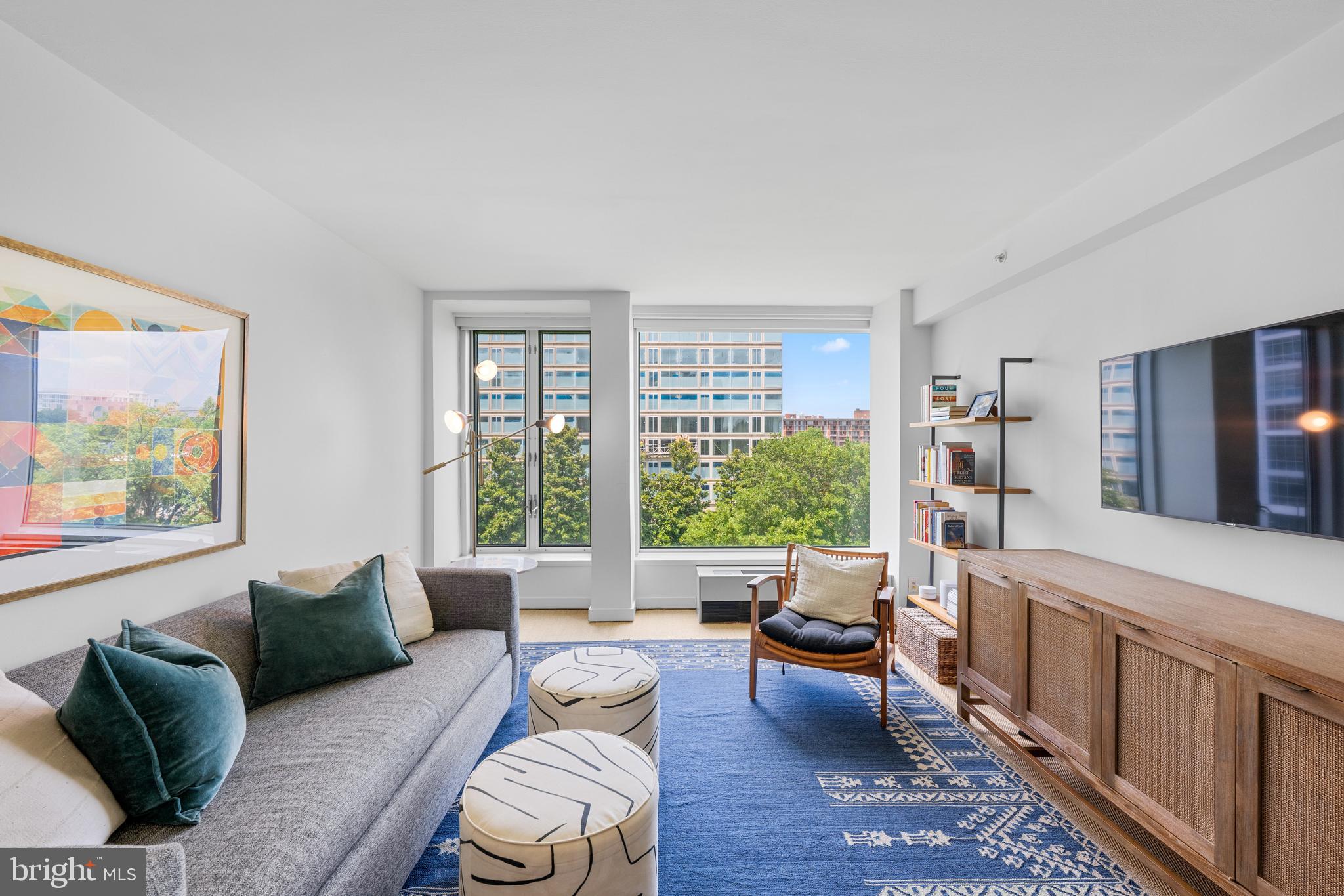 1101 3rd Street Southwest, Unit 315 Washington, DC 20024 - Photo 22 of 38 a living room with furniture and a large window
