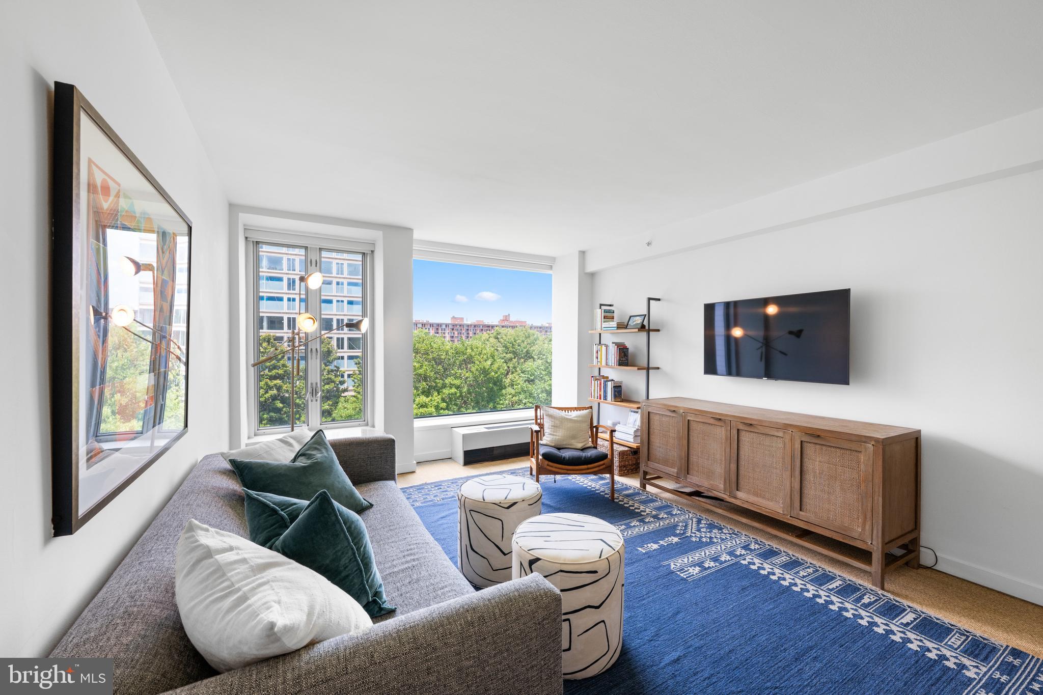 1101 3rd Street Southwest, Unit 315 Washington, DC 20024 - Photo 23 of 38 a living room with furniture and a window