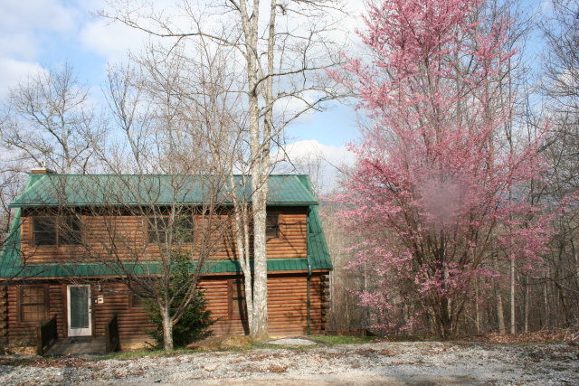 702 Hidden Lakes Road Topton, NC 28781 - Photo 1 of 1 Gallery Image 1