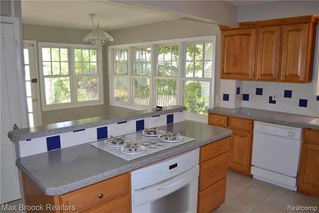 53 Amherst Road Pleasant Ridge, MI 48069 - Photo 5 of 20