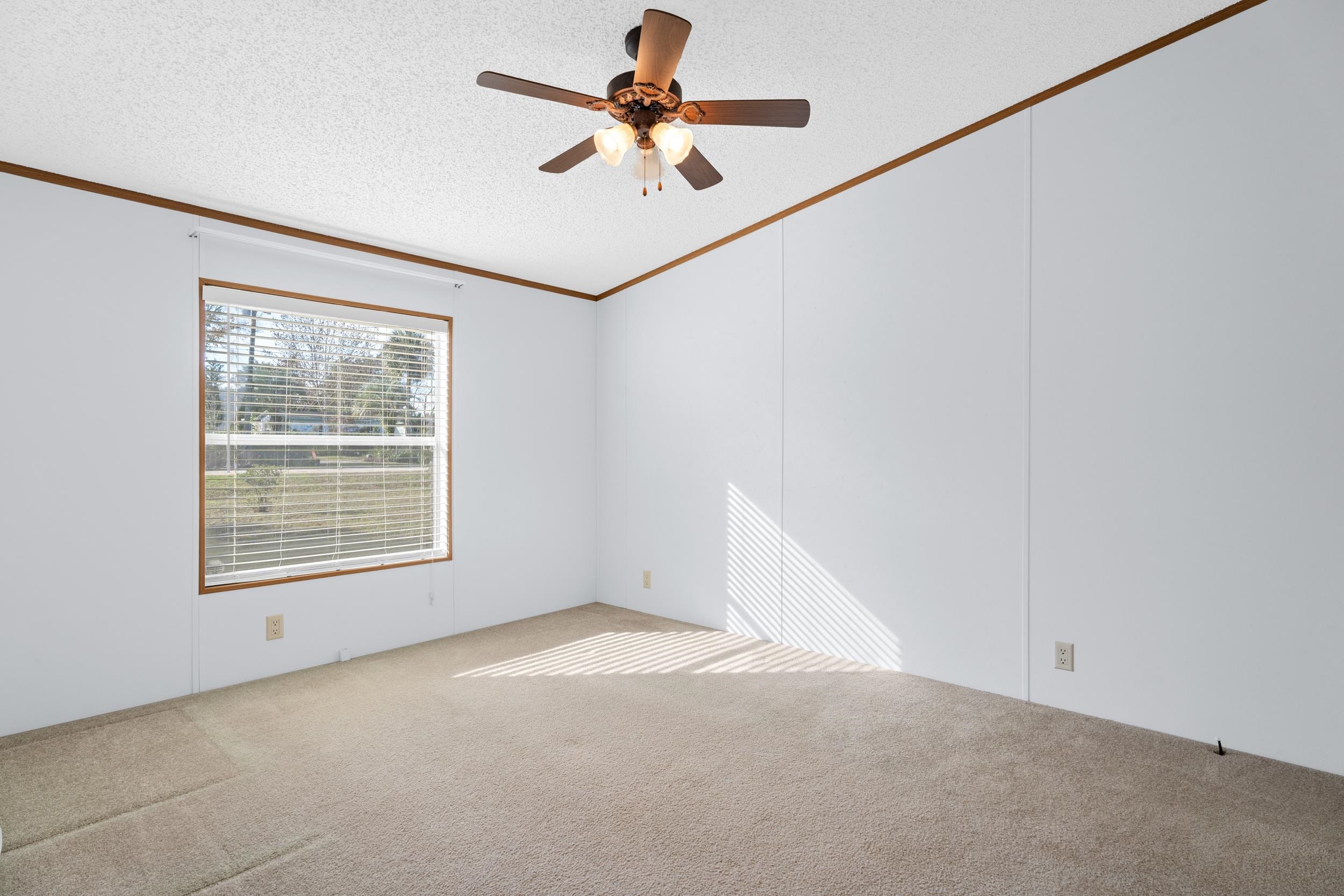 100 Musket Drive Satsuma, FL 32189 - Photo 3 of 33