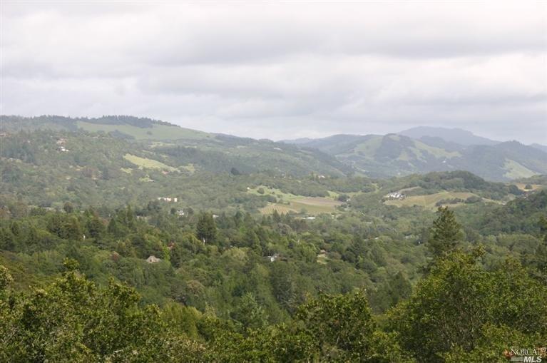 1100 Quietwater Ridge Santa Rosa, CA 95404 - Photo 1 of 1 an aerial view of houses covered in trees