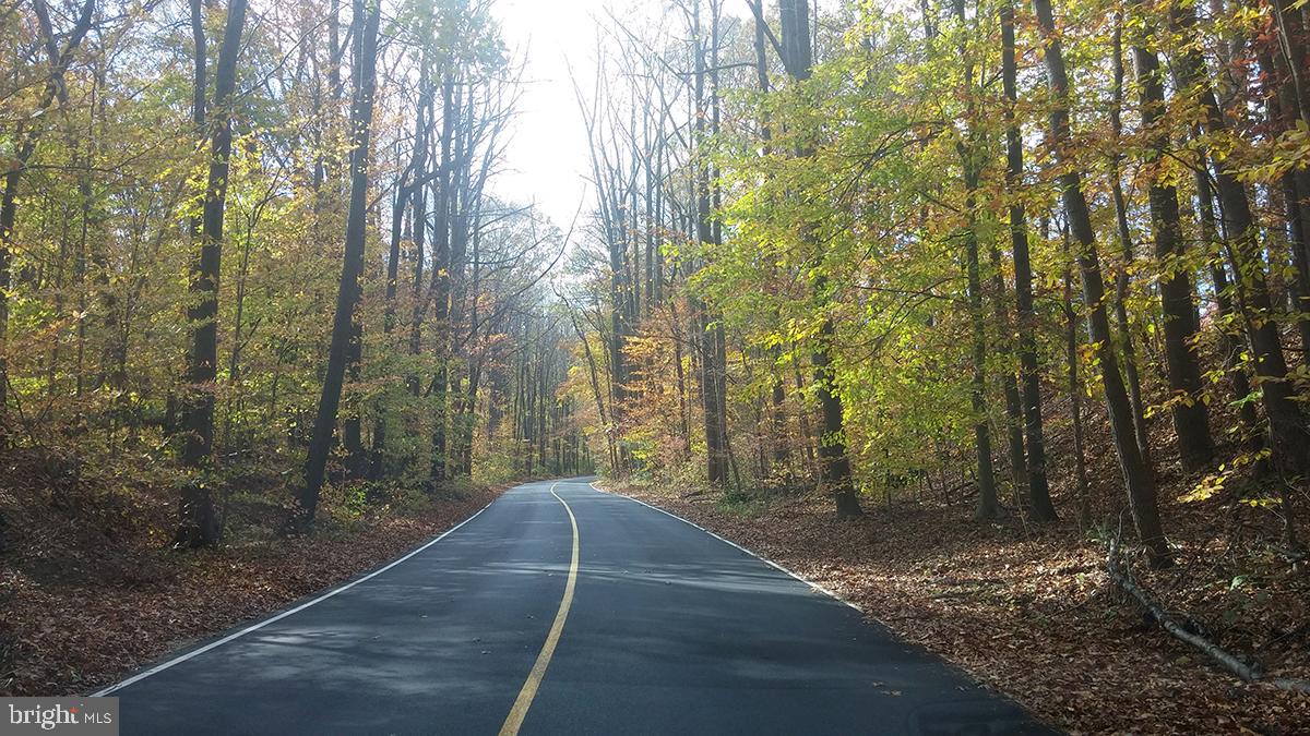 5603 Ravenel Lane Springfield, VA 22151 - Photo 51 of 65